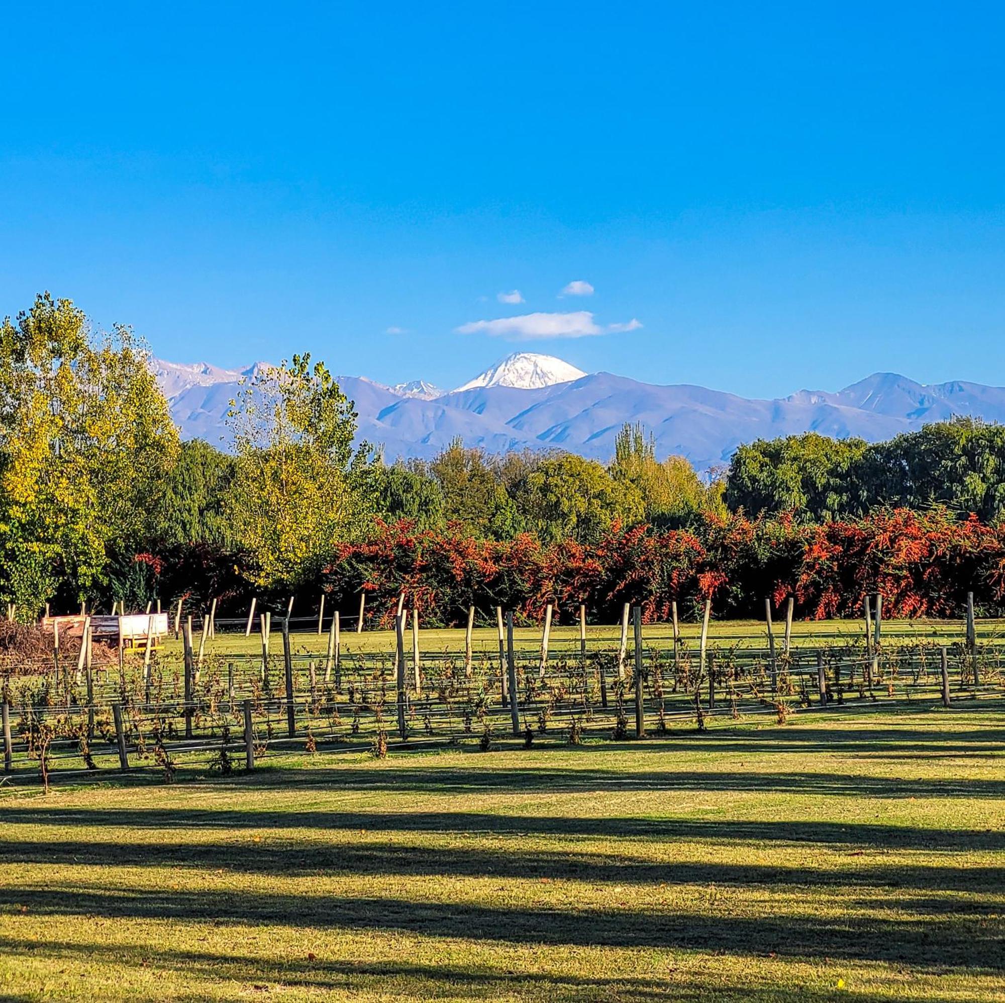 Finca La Saucina Casa De Campo Tunuyán Exteriör bild